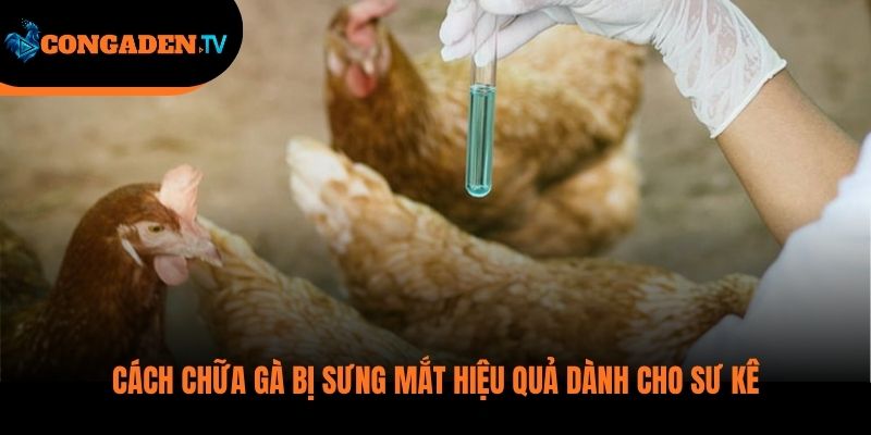 gà bị sưng mắt