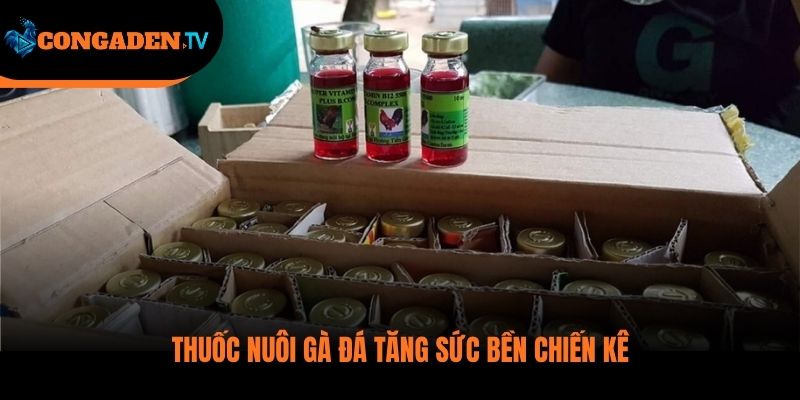thuốc nuôi gà đá