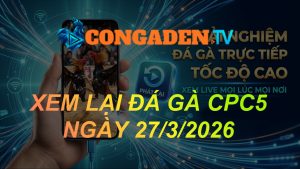 XEM LẠI ĐÁ GÀ CPC5 NGÀY 27/3/26