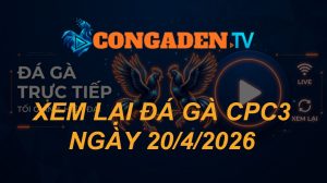 xem lại đá gà cpc3 ngày 20-4-2026