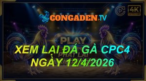 XEM LẠI ĐÁ GÀ CPC4 NGÀY 12/4/26