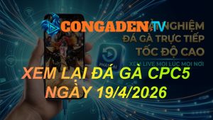 XEM LẠI ĐÁ GÀ CPC5 NGÀY 19/4/26