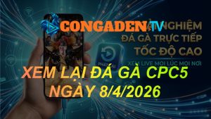 XEM LẠI ĐÁ GÀ CPC5 NGÀY 8/4/26